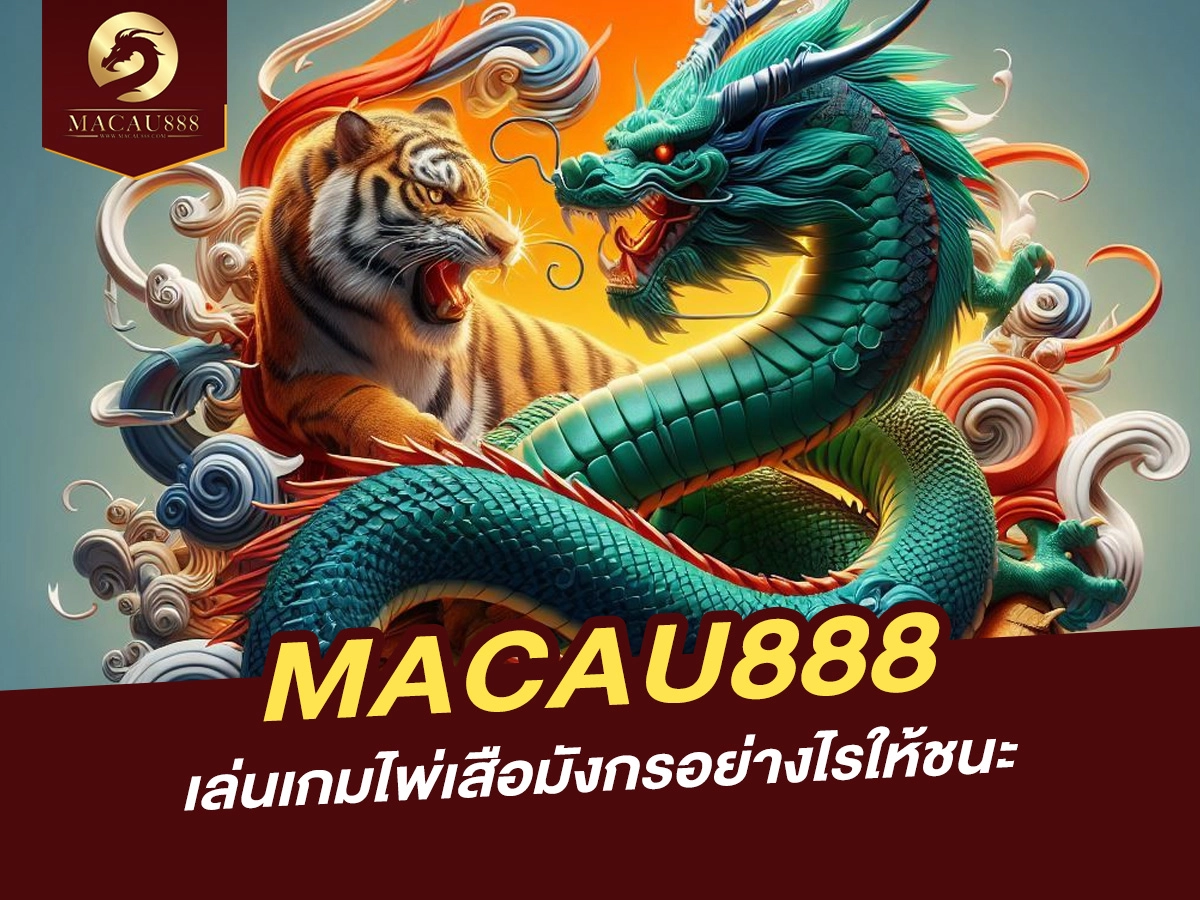 You are currently viewing เล่นเกมไพ่เสือมังกรอย่างไรให้ชนะบน MACAU888