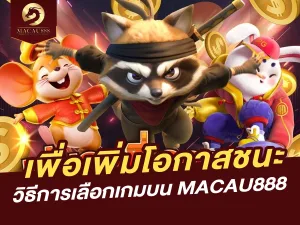 วิธีการเลือกเกมบน MACAU888 เพื่อเพิ่มโอกาสชนะ