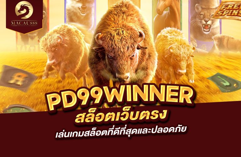 Read more about the article pg สล็อต เว็บ ตรง pd99winner เล่นเกมสล็อตที่ดีที่สุดและปลอดภัย